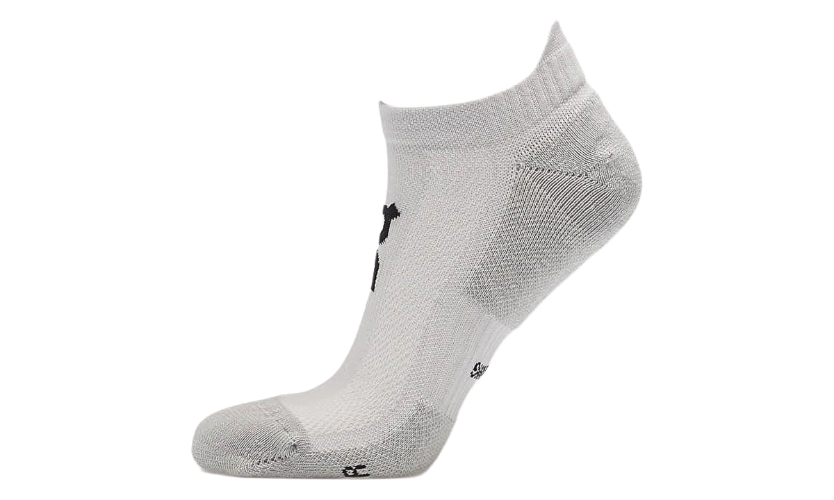 Core Run Sock Low "Glacier (2 Pack)" 2UF10080561